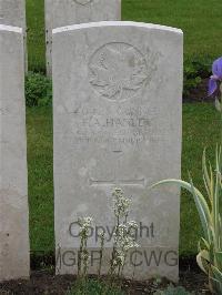 Etaples Military Cemetery - Hanley, F A